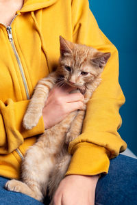 Cute little ginger kitten sits comfortably on hands of its owner