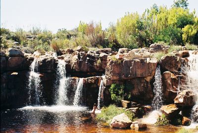 Scenic view of waterfall in forest against sky