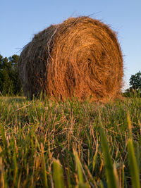 Hay bales on field against clear sky