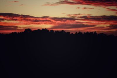 Silhouette of trees at sunset
