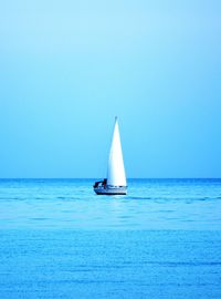 Sailboat sailing in sea against clear sky