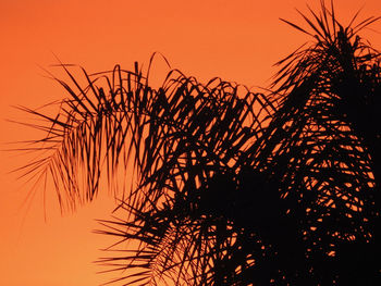 Low angle view of silhouette plants against romantic sky