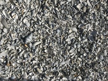 High angle view of garbage on metal