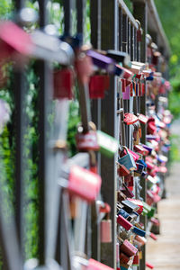 Close-up of padlocks hanging on railing