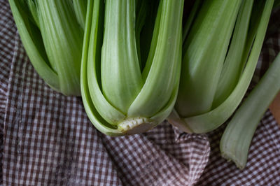 High angle view of vegetables on table