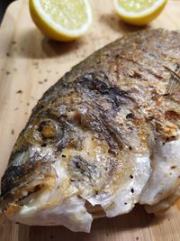 High angle view of fish on table