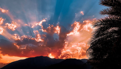 Low angle view of silhouette trees against sky during sunset