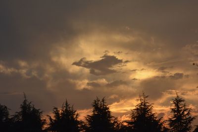 Low angle view of silhouette trees against sky during sunset