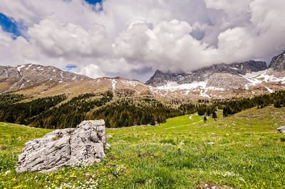 Scenic view of landscape against sky