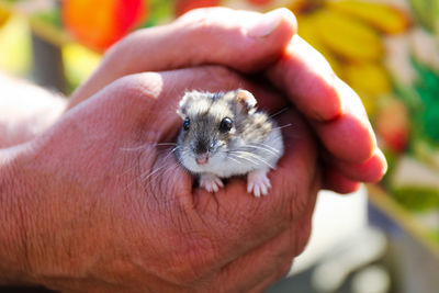 Close-up of person holding hand