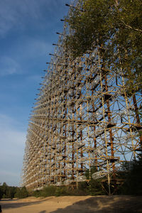 Low angle view of tree against building