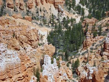 Rock formation on cliff