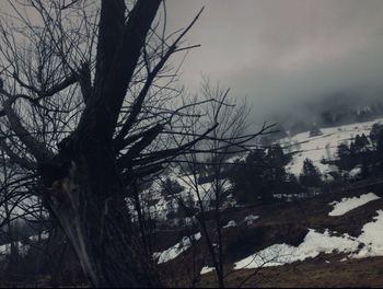 Scenic view of snow covered landscape