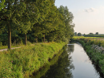 Scenic view of river amidst trees against sky