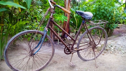 Bicycle parked in basket