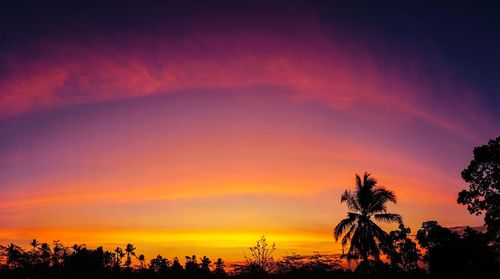 Silhouette trees against dramatic sky during sunset