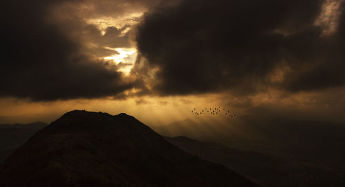 Silhouette birds flying against sky during sunset