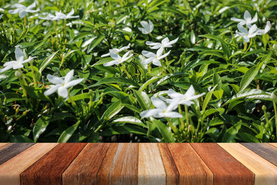 Wooden table against flowering plants