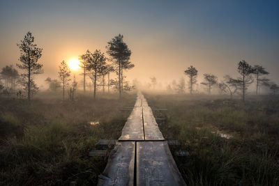 Railroad track amidst trees against sky during sunset