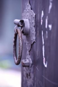 Close-up of rusty door knocker