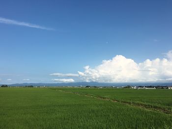 Scenic view of field against cloudy sky