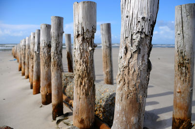 Close-up of wooden posts on beach