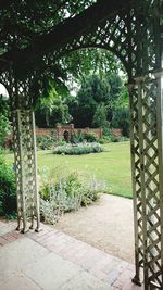 View of park in garden