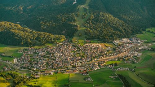 High angle view of trees and buildings in city