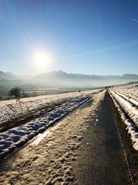 Scenic view of field against clear sky during winter