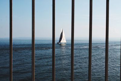 Sailboat sailing on sea against clear sky