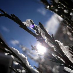 Low angle view of frozen water against sky during winter