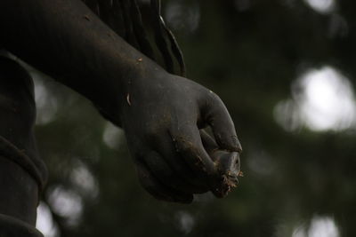 Close-up of statue