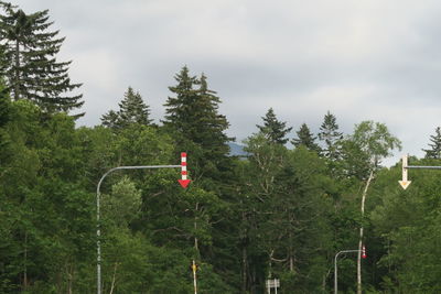 Red road amidst plants against sky