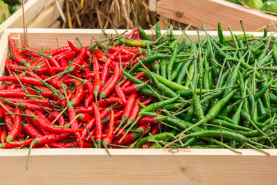 High angle view of red chili peppers on table