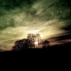 Low angle view of silhouette trees against sky