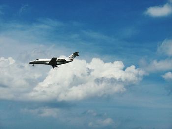Low angle view of bird flying in sky