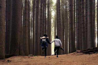 Rear view of men standing by tree trunk in forest