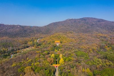 Scenic view of landscape against clear sky