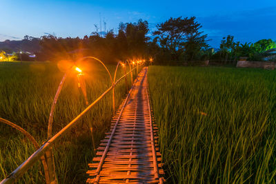 Boardwalk amidst rice field at dusk
