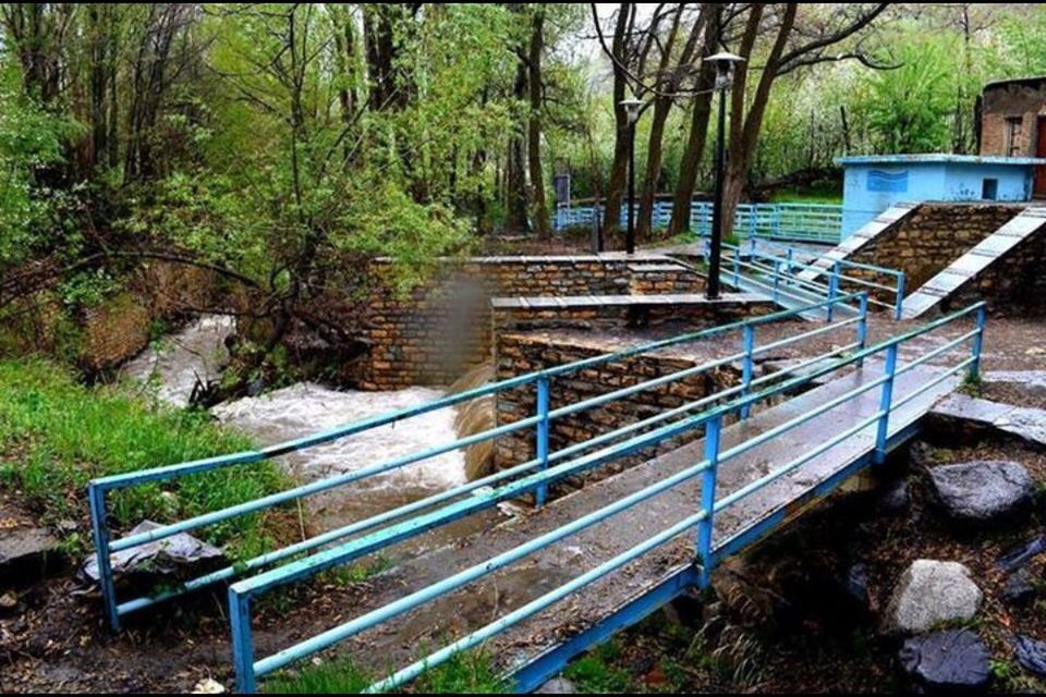 tree, forest, railing, tranquility, growth, nature, footbridge, green color, connection, day, plant, tranquil scene, high angle view, railroad track, no people, absence, empty, steps, outdoors, bridge - man made structure