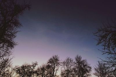 Low angle view of bare trees against sky