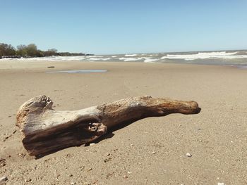 Close-up of sand on beach against clear sky