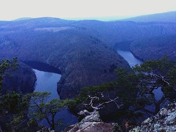 Scenic view of purple and trees against blue sky
