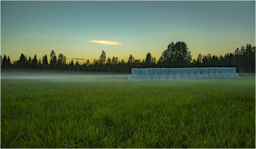 Scenic view of field against sky during sunset