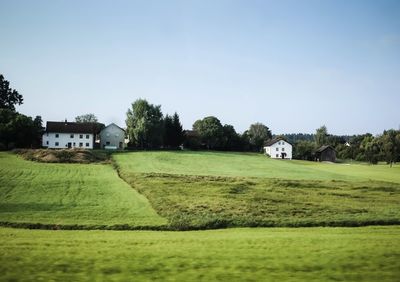 Scenic view of grassy landscape against sky