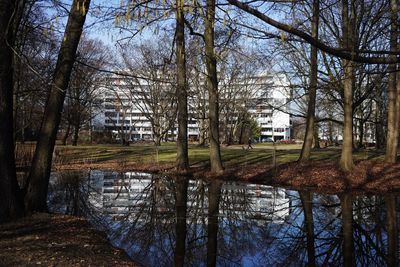 Bare trees by lake in park against buildings in city