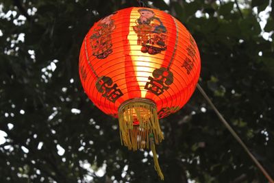 Low angle view of illuminated lanterns hanging on tree