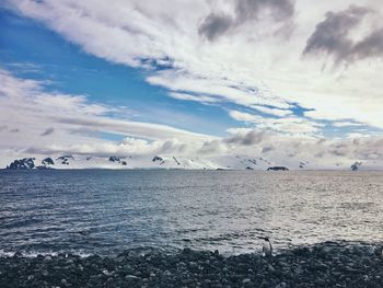 Scenic view of sea against sky during winter