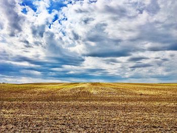 Scenic view of agricultural field against sky