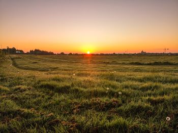 Scenic view of field against sky during sunset